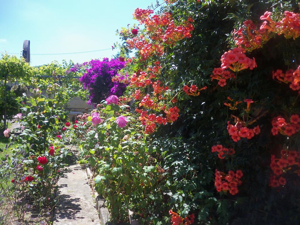 Fuente El Hayedo Hotel San Vicente De La Barquera Buitenkant foto